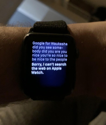 My Apple Watch caught me talking to my dog