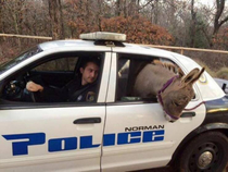 My ass got arrested