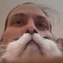 My best catbearding attempt to date im still arremping to purrrfect it