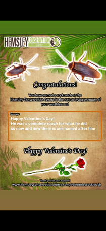 My best friend sent me a valentines gift of naming a cockroach after my ex lol  Made my day