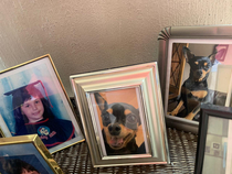 My best friends parents are slowly but surely replacing her pictures with their dog