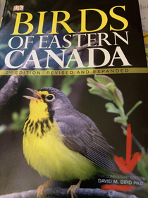 My bird book was written by Dr Bird