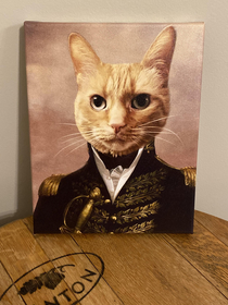 My birthday present a formal canvas portrait of my cat
