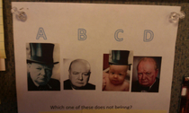 My boss told me my daughter looks like Winston Churchill I begrudingly accepted the truth and left this in her office the next day as a concession of agreement