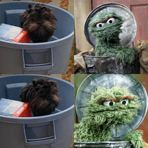 My boy was busted just chillin in the garbage can and it made me realize I own Oscar the Grouch 