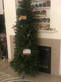 My boyfriend put the lights on the tree