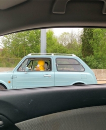 My boyfriend saw this while driving on the interstate in Louisville KY