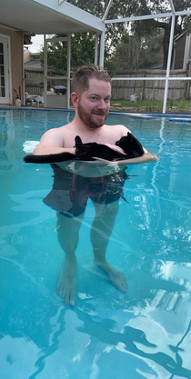 My boyfriend thought it would be funny to bring our cat into the pool This picture is the result Please enjoy