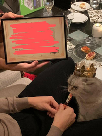 My brother bought my cat a small plot of land in Scotland for Christmas Being a British Shorthair he deeply despises all of Scotland I think his expression beautifully sums up 