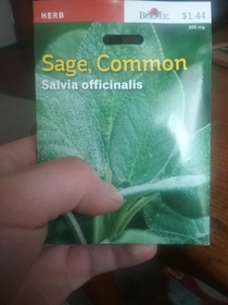My brother bought salvia to grow and smoke I dont have the heart to tell him