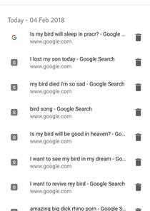 My brothers bird died this morning I saw his google history So sad