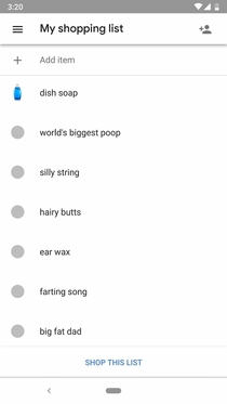 My brothers kids figured out how to add stuff to the Google Home shopping list
