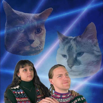 My buddy and his wifes new profile pictures with their cats
