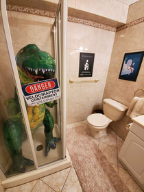 My buddys wife let him decorate the basement bathroom no regerts