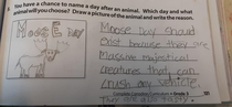 My Canadian friends daughters schoolwork A