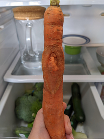 My carrot has been commended as being strongly vaginal