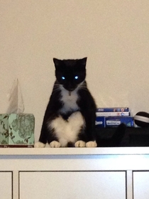 My cat also likes to sit and stare Albeit in a slightly more possessed way