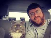 My cat and I enjoy driving around town and disapproving of everyone we see