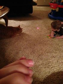 My cat and my nephew sharing a common enemy