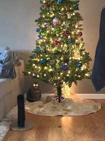 My cat and my tree are both plugged in and ready for Christmas