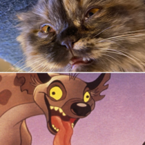 My cat keeps falling asleep with her eyes and mouth open and it always reminds me of this