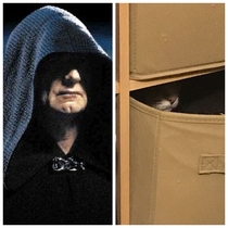 My cat likes caves And the dark side is a pathway to many abilities some consider to beunnatural x-post rPrequelmemes