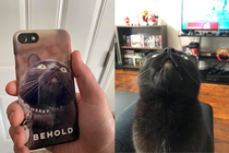 My cat likes to stare at the ceiling I turned the goofy face she makes into a phone case