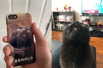 My cat likes to stare at the ceiling I turned the goofy face she makes into a phone case