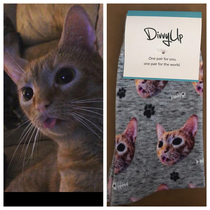My cat often sticks her tongue out so my friend got me custom socks with her face on them Ive never laughed so hard in my life