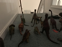 My cat was not ready for Dinovember