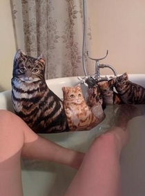 My cats also like to take baths with me
