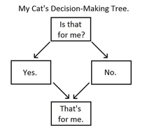 My cats decision making tree
