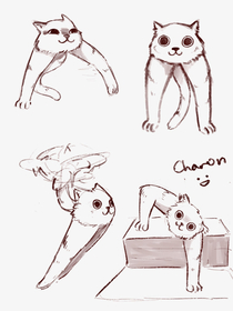 My catto Charon