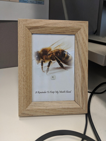 My Colleague got stung in the mouth by a bee Boss framed the stinger and left it on his desk