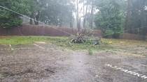 My cousin picked the best spot to park during the hurricane