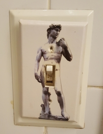 My cousins bathroom light switch cover