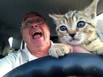 My dad brought a kitten home and let it drive