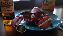 My dad had rock lobster for his birthday