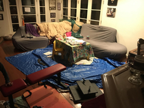 My dad put down a tarp in in the living room to prepare for his grandkids visiting for thanksgiving