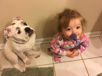 My daughter and my puppy fight over whos going to warm their butt on the vent in the morning The baby won today The puppy is pouting about it