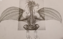 My daughter had to draw wings and feet of a dragon as homework