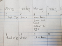 My daughter is making a schedule for next week