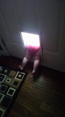 My daughter just discovered the doggy door