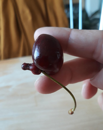 My daughter says its a cherry with a big nose