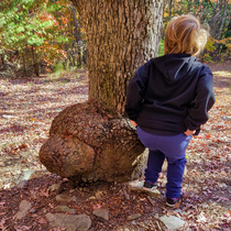 My daughter says Mom who has a nicer butt me or this tree