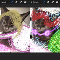My daughter started using her photo editing skills to transform our cat Ari into Disney princesses ARIoura and ARIel