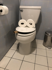 My daughter told me the toilet was smoking