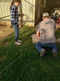 My daughter witnessed her first gutted deer today