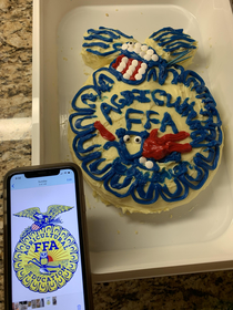 My daughters attempt at a cake for her FFA class At least it tasted decent