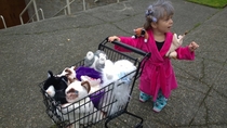 My daughters destiny as the crazy cat lady